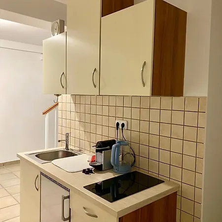 In Vienna Suburbs - 40 Min From Vienna Center * Traiskirchen