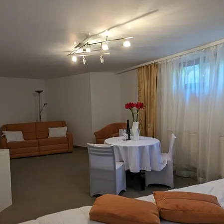 Apartment In Vienna Suburbs - 40 Min From Vienna Center