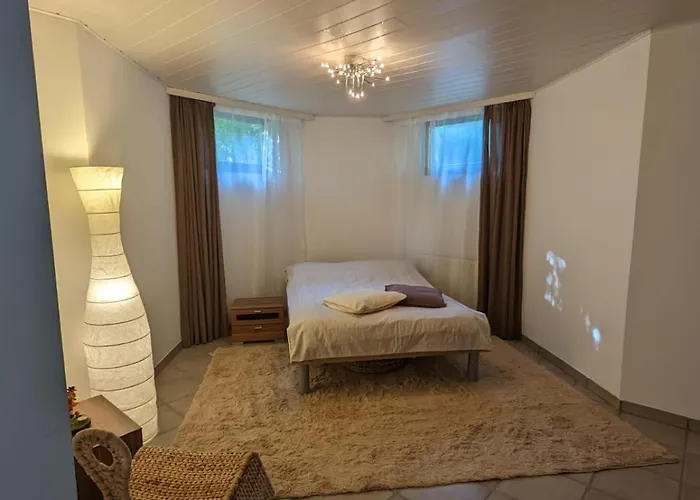 In Vienna Suburbs - 40 Min From Vienna Center Traiskirchen